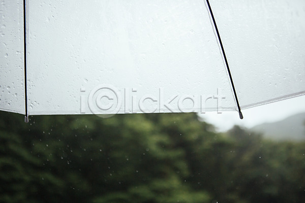 감성 사람없음 JPG 포토 백그라운드 빗방울 야외 우산 주간