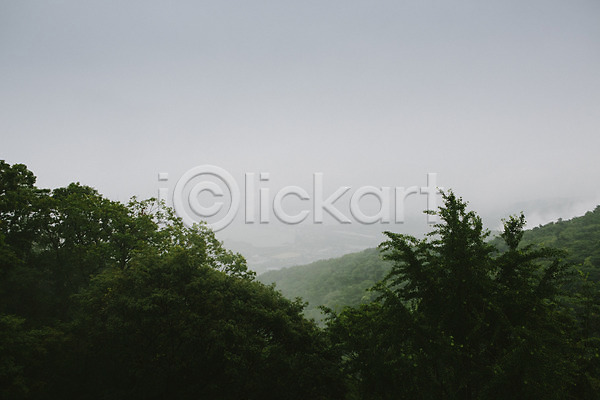 감성 사람없음 JPG 포토 나무 비(날씨) 비구름 산 야외 자연 주간 풍경(경치)