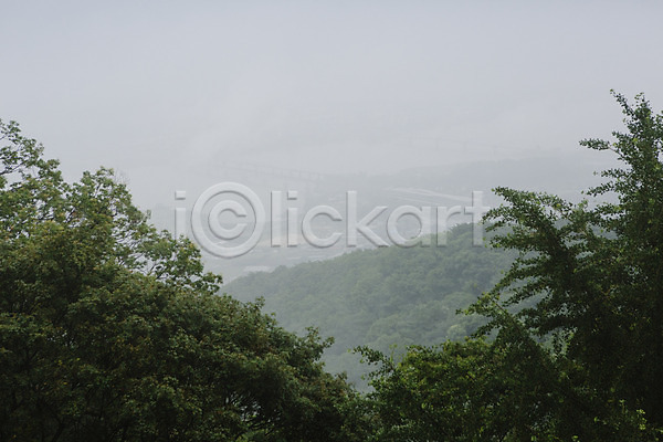감성 사람없음 JPG 포토 나무 비(날씨) 비구름 산 야외 자연 주간 풍경(경치)