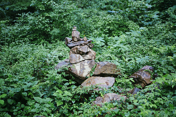 감성 사람없음 JPG 포토 비(날씨) 석탑 숲 야외 주간 풀잎