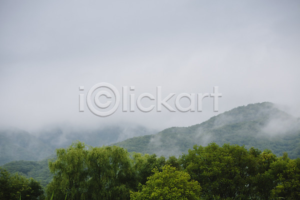 감성 사람없음 JPG 포토 나무 비(날씨) 비구름 산 야외 주간
