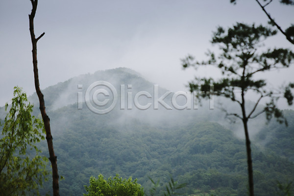 감성 사람없음 JPG 포토 나무 비(날씨) 비구름 산 야외 주간