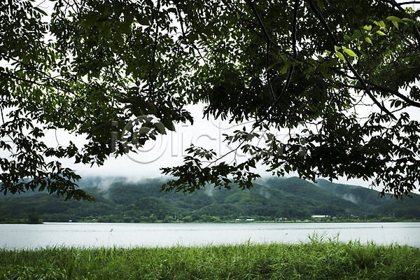 사람없음 JPG 포토 강 나무 비(날씨) 산 야외 주간 풍경(경치)