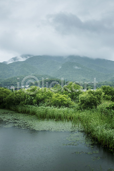 사람없음 JPG 포토 개구리밥 비(날씨) 비구름 산 야외 연못 주간 풍경(경치) 호수