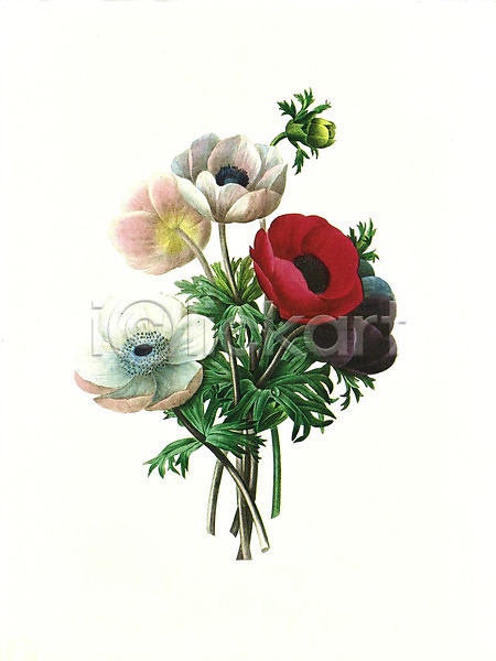 사람없음 JPG 일러스트 해외이미지 그림 꽃 꽃다발 들꽃 번짐 붓터치 수채화(물감) 식물 해외202004
