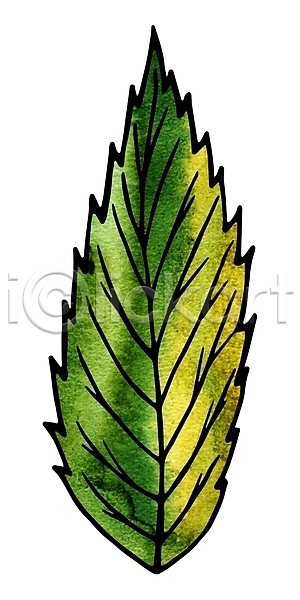 사람없음 JPG 포토 해외이미지 그림 나무 나뭇가지 디자인 백그라운드 손 수채화(물감) 숲 식물 잎 자연 정원 조경 초록색 해외202004