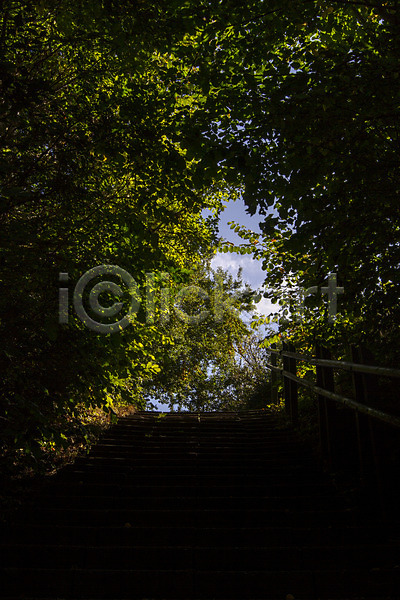 사람없음 JPG 포토 해외이미지 경계선 계단 나무 단계 목재 빛 숲 야외 언덕 여름(계절) 오솔길 자연 직진 천국 초록색 풍경(경치) 해외202004 환경