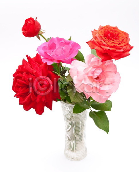 사랑 열정 사람없음 JPG 포토 해외이미지 결혼 결혼식 고립 꽃 꽃다발 꽃무늬 디자인 벚꽃 빨간색 선물 아로마 엘리먼트 인사 자연 장미 해외202004 휴가