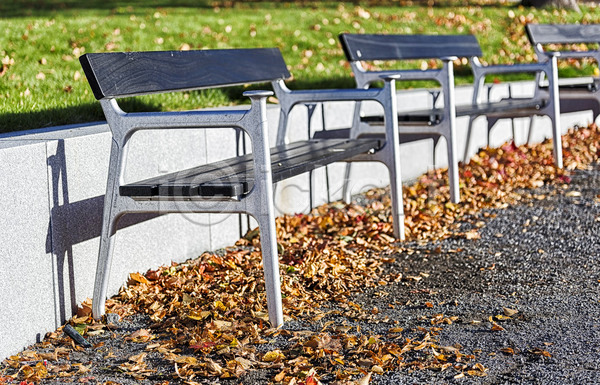 사람없음 JPG 포토 해외이미지 가을(계절) 금속 목재 바위 벤치 의자 잎 초록색 해외202004