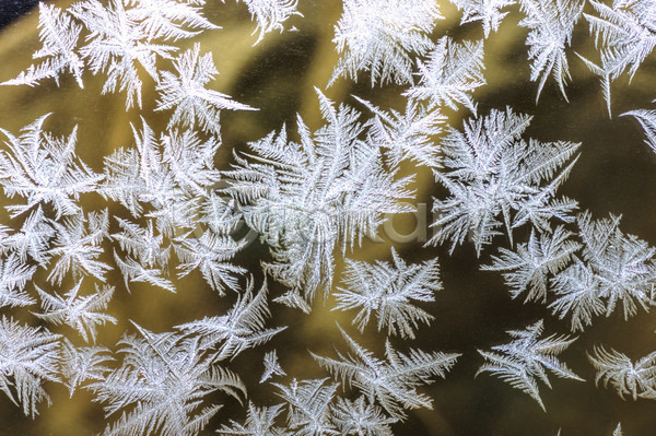시원함 추위 사람없음 JPG 포토 해외이미지 12월 겨울 날씨 내추럴 냉동 눈송이 물 반투명 백그라운드 벽지 빛 서리 얼음 유리 자연 질감 추상 크리스마스 크리스탈 투명 파란색 패턴 해외202004 흰색