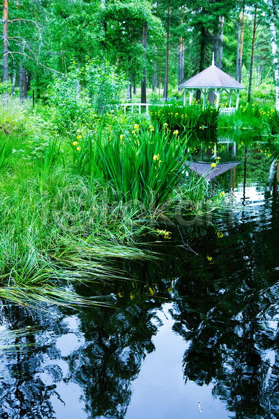비밀 평화 사람없음 JPG 포토 해외이미지 꽃 물 반사 숲 식물 야외 연못 자연 정원 초록색 파라다이스 해외202004