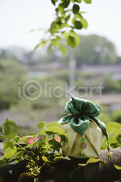 사람없음 JPG 포토 담장 보자기(천) 선물 야외 전통 전통소품 주간 풀잎 한옥