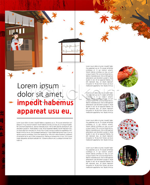 여자 한명 PSD 템플릿 2단접지 가을(계절) 가을여행 내지 단풍 리플렛 마네키네코 북디자인 북커버 여행 일본 일본여행 출판디자인 팜플렛 표지디자인
