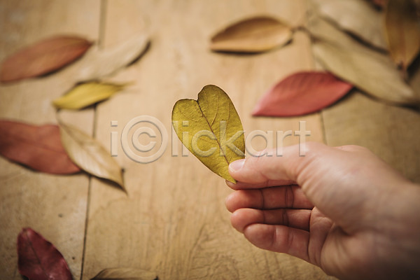 사랑 신체부위 JPG 아웃포커스 포토 가을(계절) 기념일 낙엽 들기 백그라운드 손 오브젝트 하트