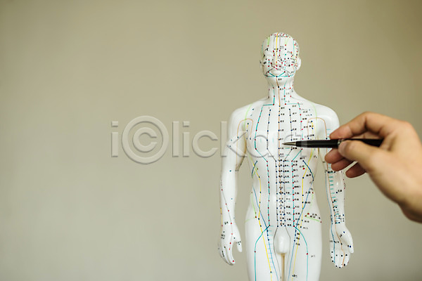 신체부위 JPG 포토 가리킴 들기 볼펜 손 인체모형 진료실 한의원 한의학 혈자리