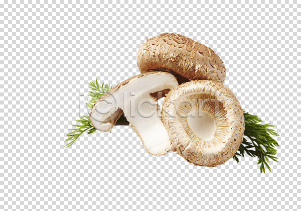 신선 사람없음 PNG 편집이미지 버섯 세개 쑥갓 채소 편집 편집소스 표고버섯