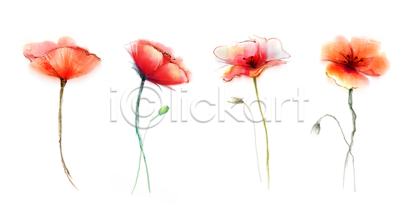 사람없음 JPG 포토 해외이미지 그림 꽃 미술 빨간색 손그림 수채화(물감) 양귀비 여러송이 해외202004