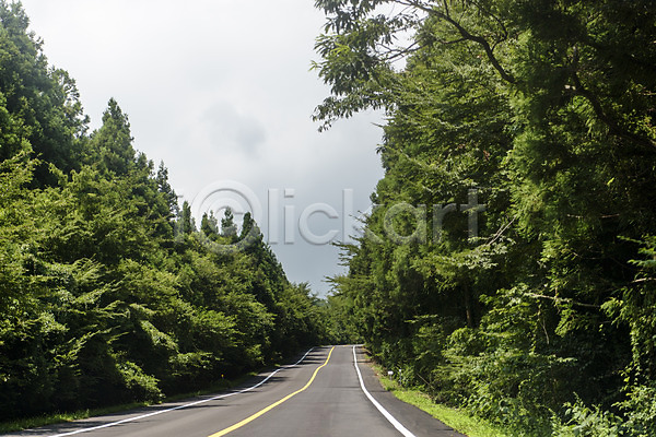 사람없음 JPG 포토 나무 도로 야외 제주도 주간 풍경(경치) 한라산