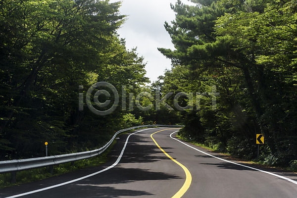 사람없음 JPG 포토 나무 도로 야외 제주도 주간 풍경(경치) 한라산