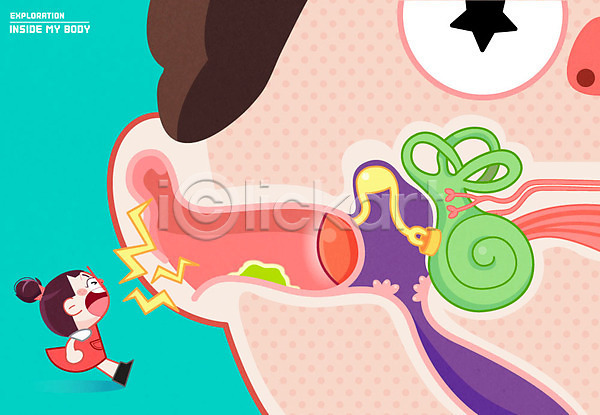 남자 두명 어린이 여자 AI(파일형식) 일러스트 귀 달팽이관 소음 신체 인체모형 청각 청력검사