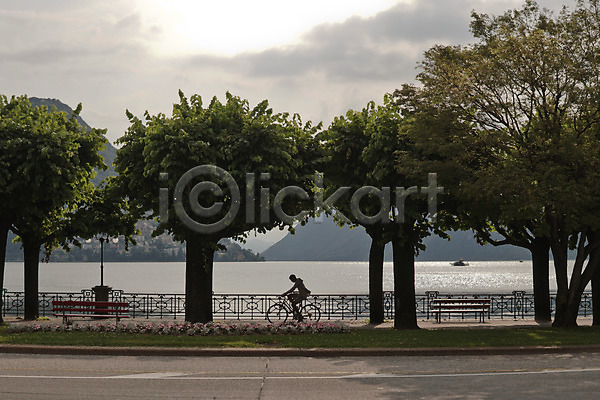 성인 한명 JPG 실루엣 포토 나무 도로 보행자 스위스 야외 자전거 주간 풍경(경치) 해외풍경