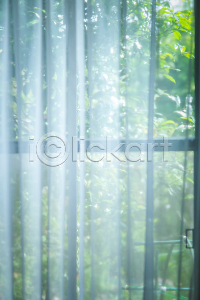 사람없음 JPG 포토 나무 백그라운드 실내 주간 창가 창문 커튼 햇빛