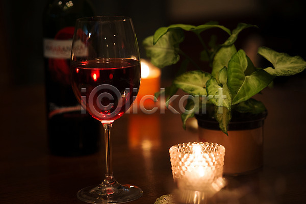 사람없음 JPG 아웃포커스 포토 실내 와인 와인병 와인잔 잔 촛불 탁자 화분