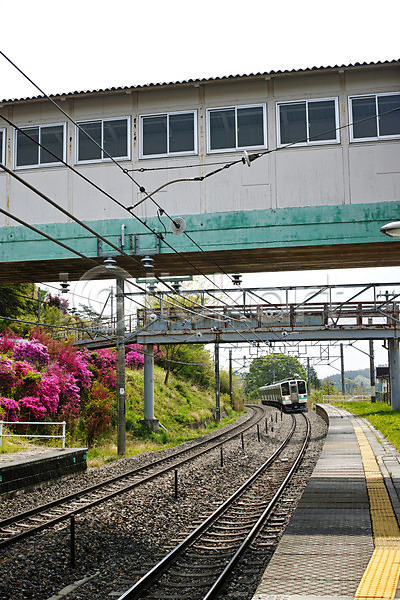 사람없음 JPG 포토 교통 기차 기차역 기찻길 꽃 야외 원근감 일본 주간 철도의날 풍경(경치) 플랫폼