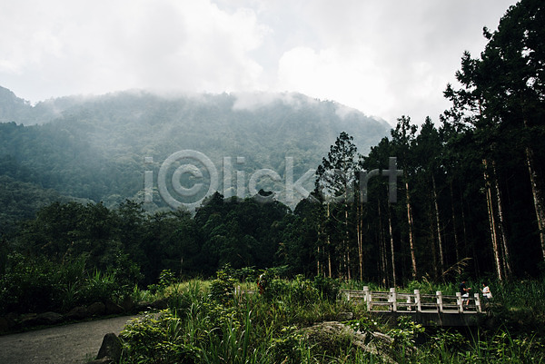 사람없음 JPG 포토 나무 대만 숲 안개 야외 주간 해외풍경