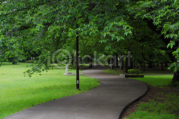 사람없음 JPG 포토 공원 나무 산책로 숲 야외 잔디 주간 풍경(경치)