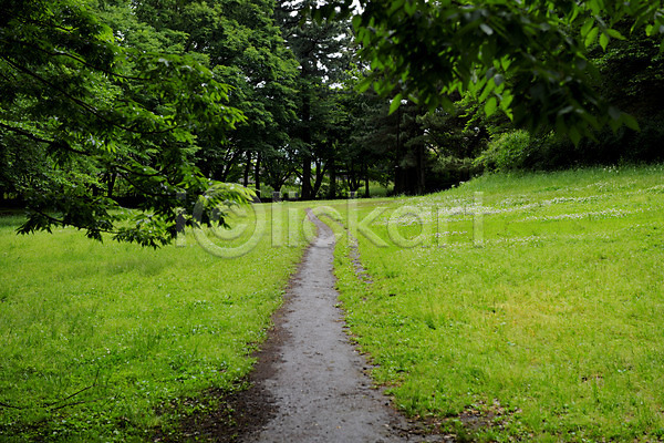 사람없음 JPG 포토 공원 나무 산책로 숲 야외 원근감 잔디 주간 풍경(경치)