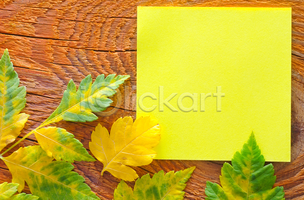 사람없음 JPG 포토 하이앵글 해외이미지 나무탁자 나뭇잎 노란색 백그라운드 사각형 색종이 카피스페이스 포스트잇 해외202004