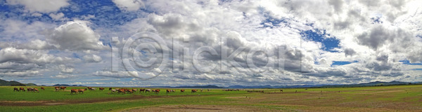 사람없음 JPG 포토 해외이미지 갈색 내추럴 농업 농장 댐 동물 먹이 물 밭 밭일 백그라운드 산 소 소고기 야외 자연 저수지 초록색 태국 파노라마 풍경 하늘 해외202004 해외포토 환경 흰색