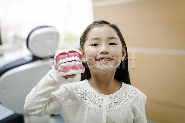 소녀한명만 어린이 여자 한국인 한명 JPG 앞모습 포토 들기 상반신 서기 실내 의학 진료실 치과 치과용품 치과진료 치아모형