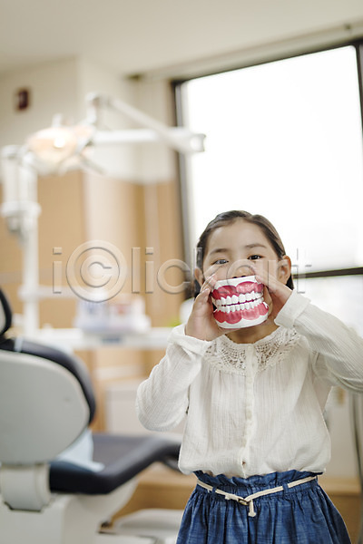 소녀한명만 어린이 여자 한국인 한명 JPG 앞모습 포토 들기 상반신 서기 실내 의학 진료실 치과 치과용품 치과진료 치아모형