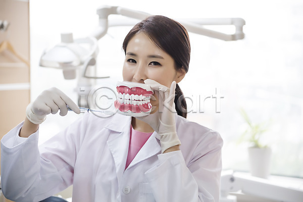 30대 성인 성인여자한명만 여자 한국인 한명 JPG 앞모습 포토 들기 미소(표정) 상반신 서기 실내 양치 의학 치과 치과의사 치아모형 칫솔