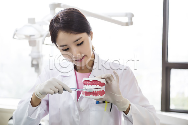 30대 성인 성인여자한명만 여자 한국인 한명 JPG 앞모습 포토 들기 미소(표정) 상반신 서기 실내 양치 의학 치과 치과의사 치아모형 칫솔