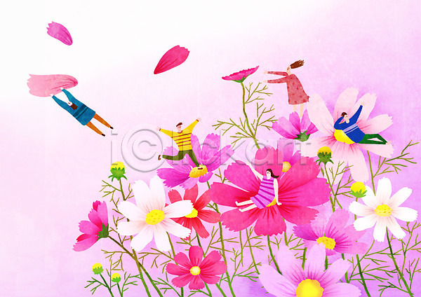 즐거움 남자 성인 여러명 여자 PSD 일러스트 가을(계절) 꽃잎 꽃축제 대한민국축제 지역축제 축제 코스모스(꽃) 한국