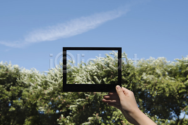 신체부위 한명 JPG 포토 구름(자연) 나무 들기 백그라운드 손 야외 주간 페이퍼아트 풍경(경치) 프레임 하늘