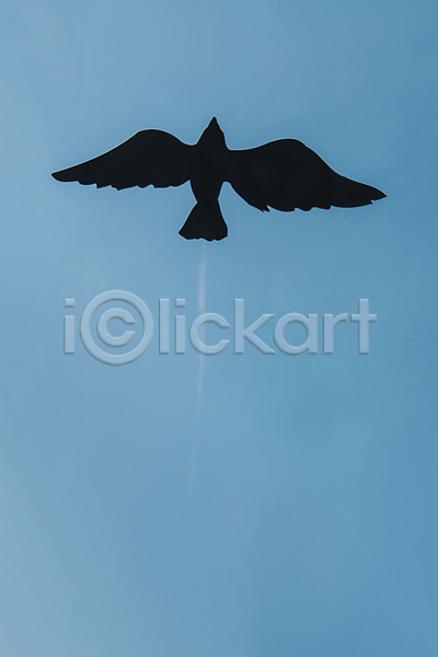 사람없음 JPG 포토 구름(자연) 백그라운드 야외 조류 주간 페이퍼아트 풍경(경치) 프레임 하늘 한마리