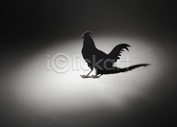 사람없음 JPG 포토 그림자 닭 백그라운드 스튜디오촬영 실내 페이퍼아트 프레임 한마리