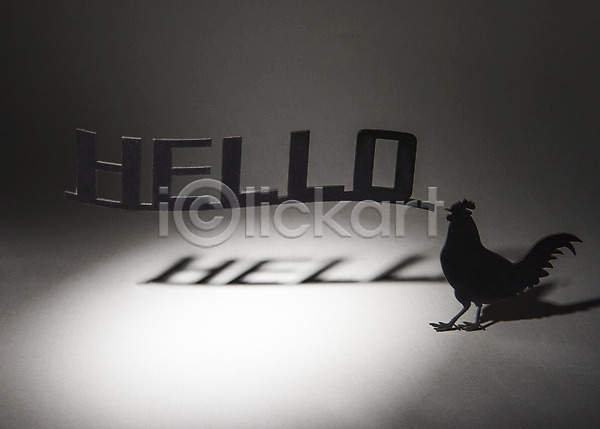 사람없음 JPG 포토 HELLO 그림자 닭 백그라운드 스튜디오촬영 실내 영어 페이퍼아트 프레임 한마리
