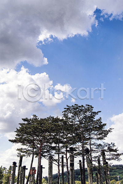사람없음 JPG 로우앵글 포토 공원 구름(자연) 맑음 서울 소나무 야외 장승 주간 풍경(경치) 하늘