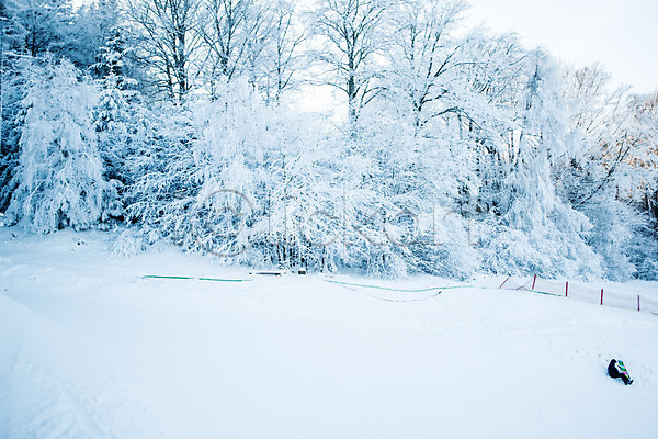 성인 한명 JPG 포토 겨울 나무 눈(날씨) 숲 스노우보드 스키장 앉기 야외 주간