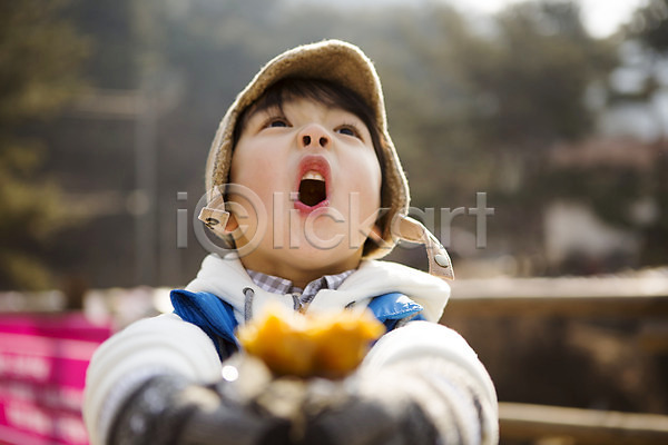 뜨거움 화목 남자 소년한명만 어린이 한국인 한명 JPG 아웃포커스 앞모습 포토 가족라이프 겨울 겨울간식 겨울음식 군고구마 상반신 야외 양평 제철음식 주간