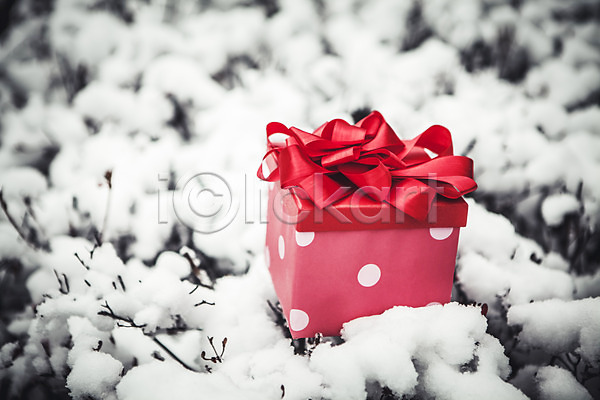 사람없음 JPG 포토 겨울 나뭇가지 눈(날씨) 리본 백그라운드 선물상자 스튜디오촬영 실내 오브젝트 이벤트 크리스마스