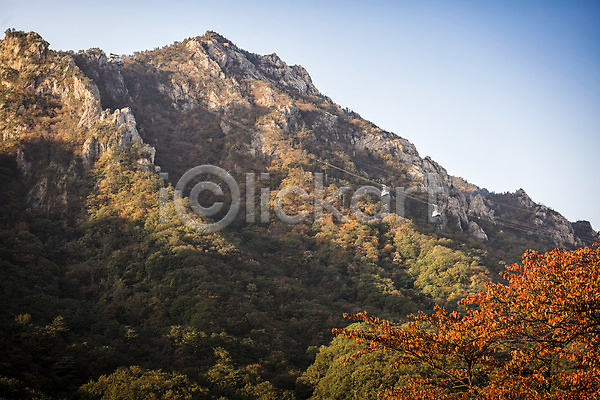 사람없음 JPG 포토 가을(계절) 단풍 단풍나무 산 설악산 야외 자연 주간 풍경(경치)