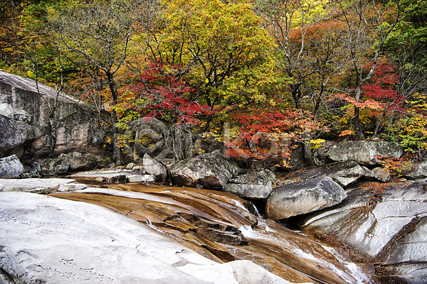 사람없음 JPG 포토 가을(계절) 계곡 단풍 바위 설악산 야외 자연 주간 풍경(경치)