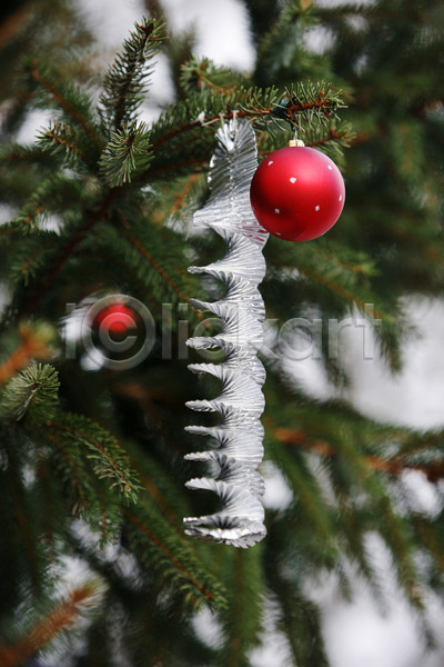 축하 사람없음 JPG 포토 해외이미지 12월 겨울 계절 공 나무 놀이 빨간색 산타클로스 선물 전통 크리스마스 해외202004 휴가