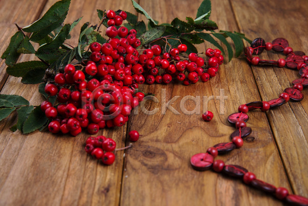 사람없음 JPG 포토 해외이미지 가을(계절) 계절 과일 나뭇가지 내추럴 다발 백그라운드 빨간색 식물 열매 잎 자연 탁자 해외202004